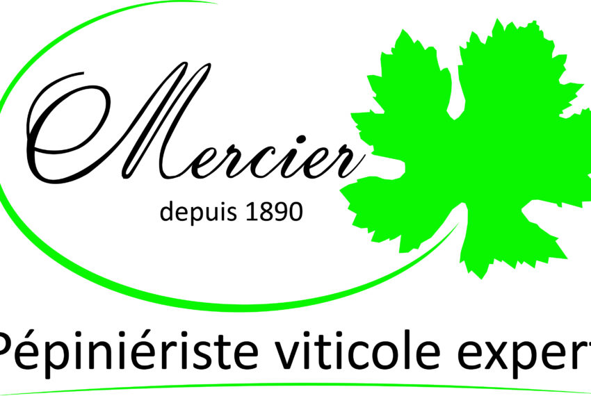 Logo_Mercier © Mercier