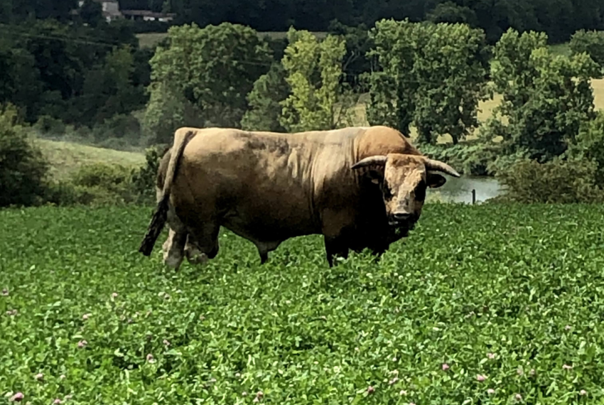 2 © Ferme de la Boislivière