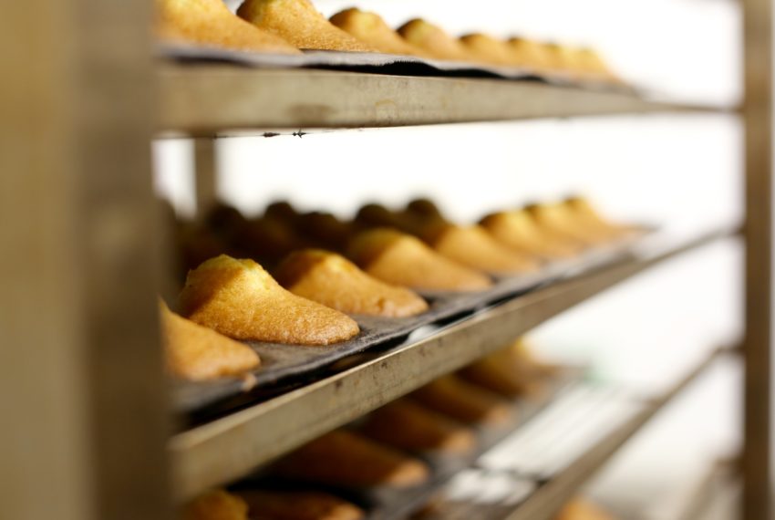 Madeleines © Nature & Compagnie